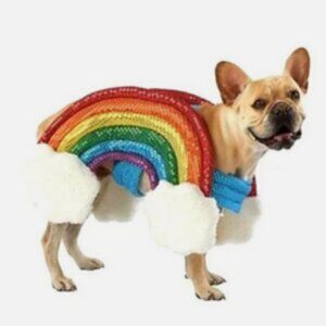 EUC ~  PetSmart YOU ARE LOVED! Pride/Rainbow w/ Clouds Pet Costume,  Size: Small